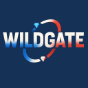 Discovery icon for Wildgate France Discord server