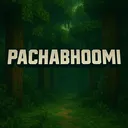 Ｐａｃｈａｂｈｏｏｍｉ