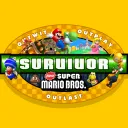 Mario Bros Wii SURVIVOR