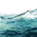 The Sunny Sandbar