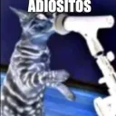 ADIOSITOS GANG