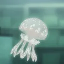 𝕋𝕙𝕖 𝕄𝕚𝕕𝕟𝕚𝕘𝕙𝕥 𝔸𝕢𝕦𝕒𝕣𝕚𝕦𝕞