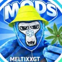 Meltixx’s Modding Basement | 🦍🗣
