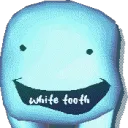 WHITETOOTH.WEB