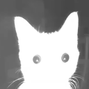 Writers and Artist Association Discord server icon