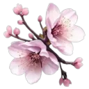 Akiro