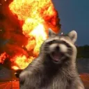 MrEmoRaccoon's server