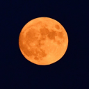 루당탕탕 친목과 스터디 Discord server icon