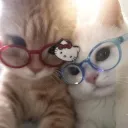₊　 /Matching ㆍ cllbs