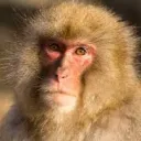 動物園