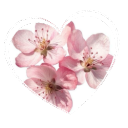 /fuchsia. luxhaven ⌗ | †DIE tag Discord server icon