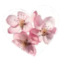 /fuchsia. luxhaven ⌗ | †DIE tag