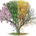 Seasons of the Clans