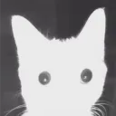 Tutututu