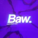 BAW SERVICES