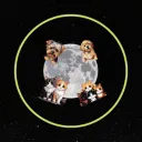Pet Central