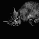 ⊹ ࣪ ˖𝑺𝒖𝒑𝒆𝒓𝒏𝒐𝒗𝒂ꪆ୧ ₊ Discord server icon