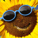 Wama Wama Discord server icon