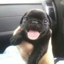 VOUEX LANG MAGULO Discord server icon