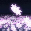 𝙻𝚄𝙼𝙸𝙽𝙾𝚄𝚂 光 |𝙽𝙰| Discord server icon