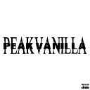 Peakvanilla | 1.20+ SMP
