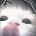 Gechain's Hideout Discord server icon