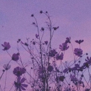 ~Dreamy island~ Discord server icon