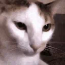 BrainCell Buffét