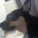 Sala 24h Discord Server Icon