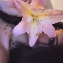 ml