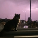 Discovery icon for ninety shop Discord server