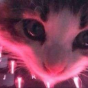 🌴Limitless Community🌴