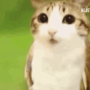 elusive Discord server icon