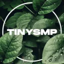 TinySMP | Official Discord