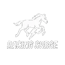 Racing Surge's icon