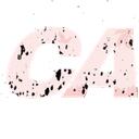    California Roleplay | Strict ®  Discord Server Icon