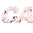  California Roleplay | Strict® Discord Server Icon