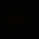 The squid crew Discord server icon