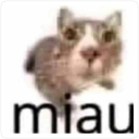 AUDREY'S PENCIL BOX Discord server icon