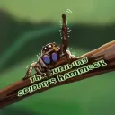 The Jumping Spider's Hammock