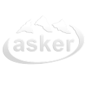 Discovery icon for ASKER Discord server