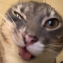 ✨Family-friendly specialties✨ Discord server icon