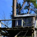 Mikey's Treehouse