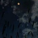 Amphoreus Discord server icon