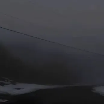 𝙉𝙊𝙓 ♠ — мониторинг Discord сервера, статистика и рейтинг