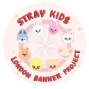 SKZ Banner Project London