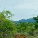 South Africa Nature Today
