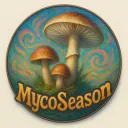 MycoSeason - Psychedelia