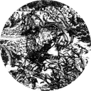 #08