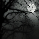 Crimson Hollow (21+)